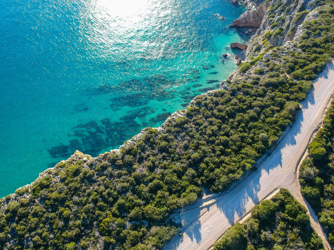 Top 5 Best Beaches in Portugal: From Hidden Coves to Lively Shores